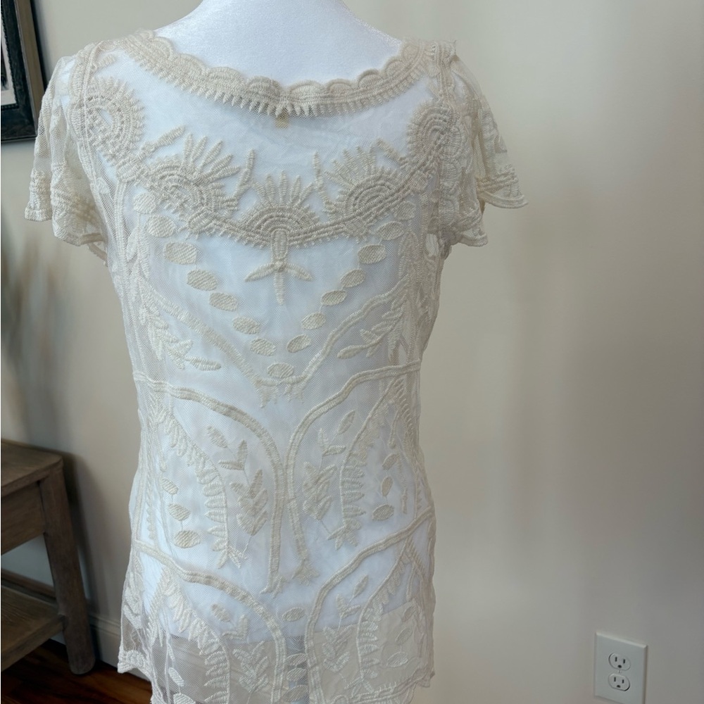 Elegant Cream Lace Dress